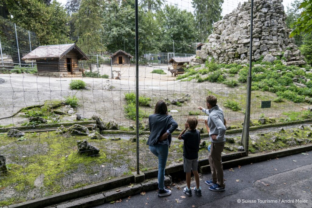 Parc_Bouquetin